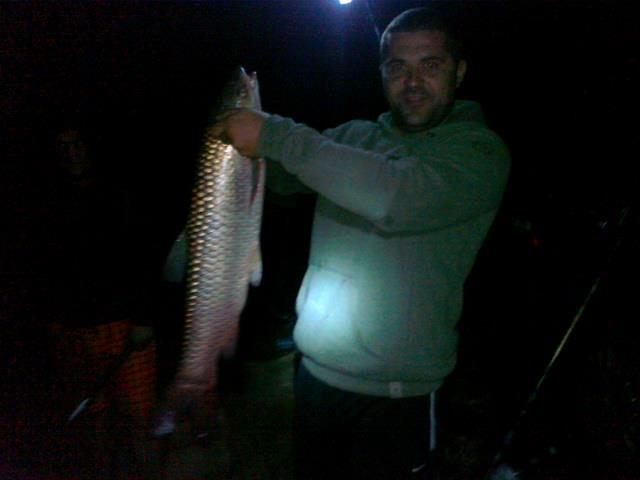 peste - picture-014.jpg